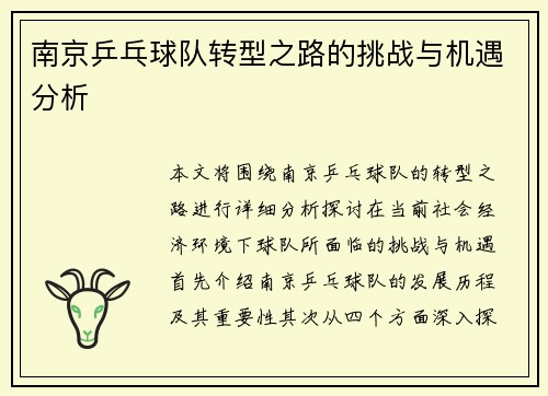 南京乒乓球队转型之路的挑战与机遇分析